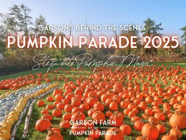 Behind the Magic of the Pumpkin Parade 2025