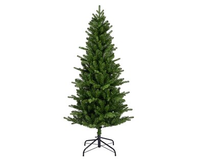 Killington Fir 1.8m - image 1