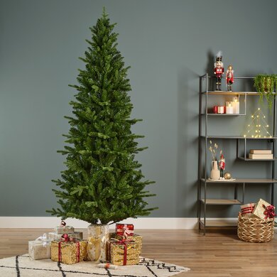 Killington Fir 2.1m - image 4