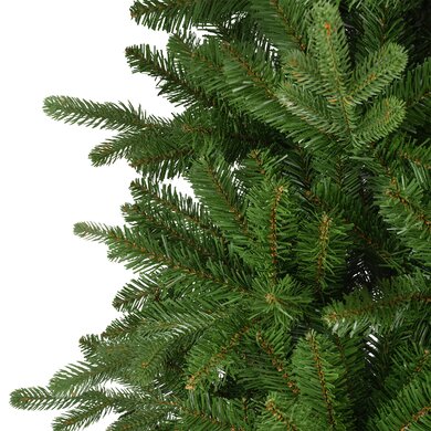 Killington Fir 2.4m - image 5