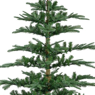 Nobilis Fir 1.8m - image 2