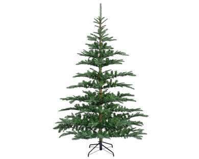 Nobilis Fir 1.8m - image 1