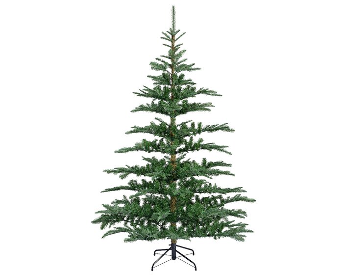 Nobilis Fir 2.4m - image 1