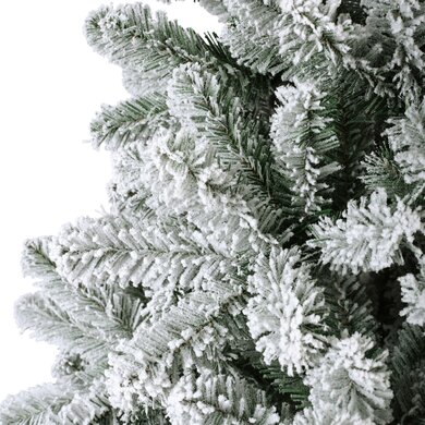 Snowy Monarch Pine 2.1m - image 2