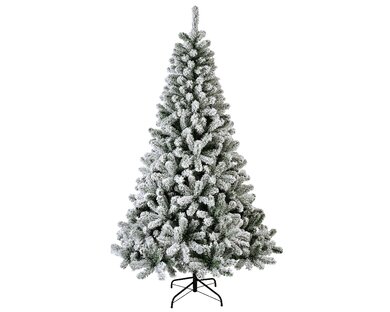 Snowy Monarch Pine 2.1m - image 1